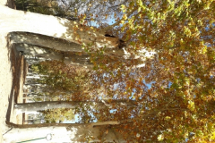 Otoño en los jardines de Aranjuez