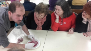 Taller de ciencias 