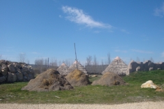 DSC04964