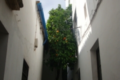 DSC04096