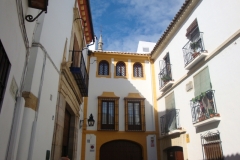 DSC04100