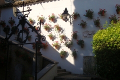 DSC04116