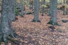 20171104_112532