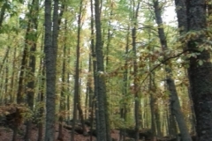 20171104_112543 (1)