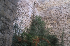 PHOT0066