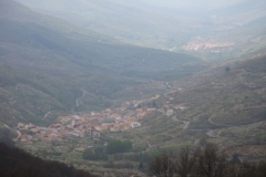 DSC00807
