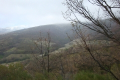 DSC00811