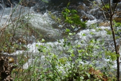DSC00824