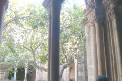 DSC00826