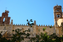 DSC00831