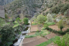 DSC00832