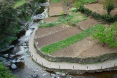 DSC00833