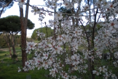 DSCN0049
