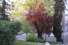 DSCN0064