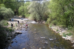 DSCN0071