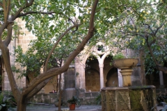 DSCN0076