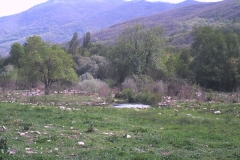 PHOT0023