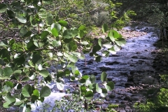PHOT0029