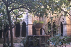 PHOT0048