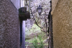 PHOT0063