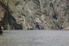 IMGP5447