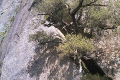 PHOT0013