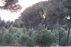 20190614_213942