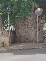 Salida a Nuevo Baztán y Colmenar de Oreja