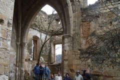 IMGP2896