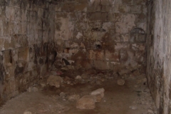 IMGP2902