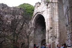 Img0599