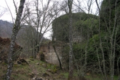 Img0606