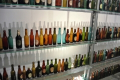 348.DSC_1844.Evolución de la botella de Guinness