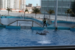 Imagen_095