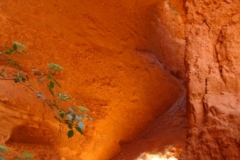 DSC05218