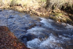 DSC09625